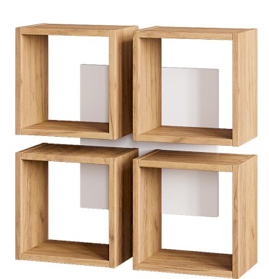 Полка Ион 5 (БТС)